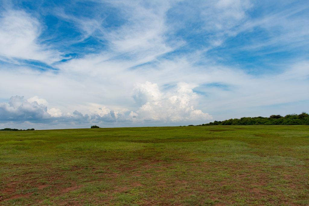 ashokVatika